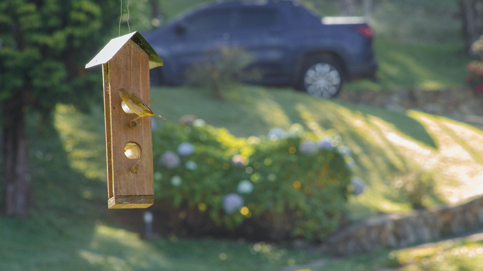 Pousada Chales Samambaias19