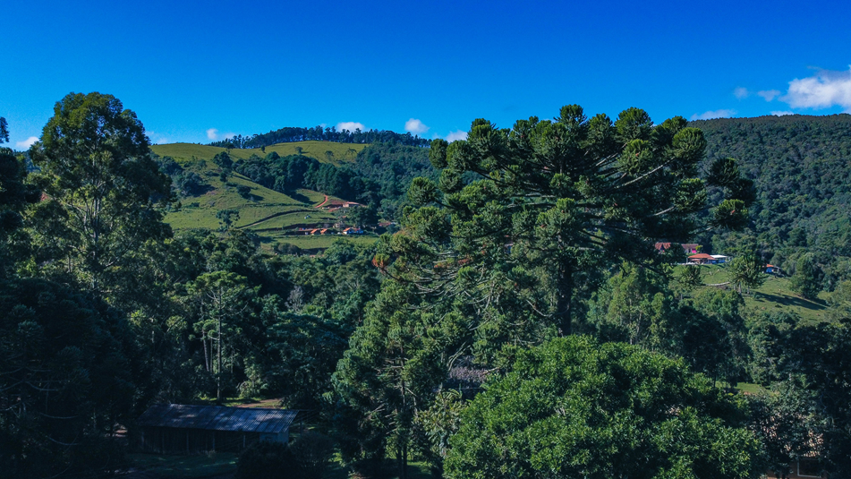 Pousada Chales Samambaias6